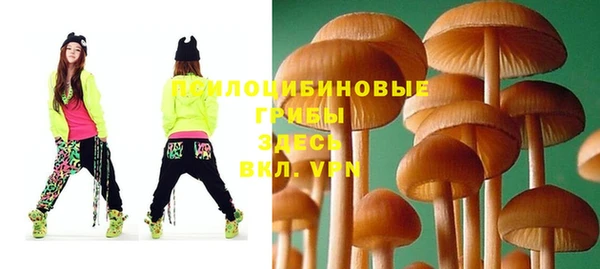 экстази Богданович