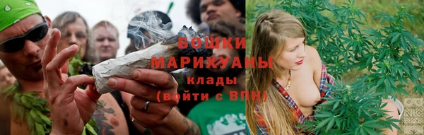 МДПВ Богородицк