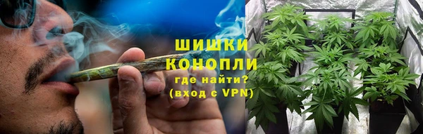 МДПВ Богородицк