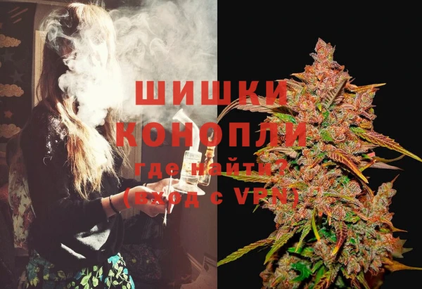 МДПВ Богородицк