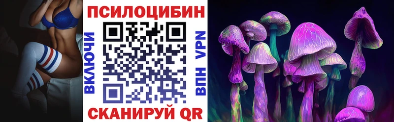 kraken Кострома Псилоцибиновые грибы Psilocybine cubensis